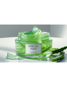 Gel d Aloe-vera