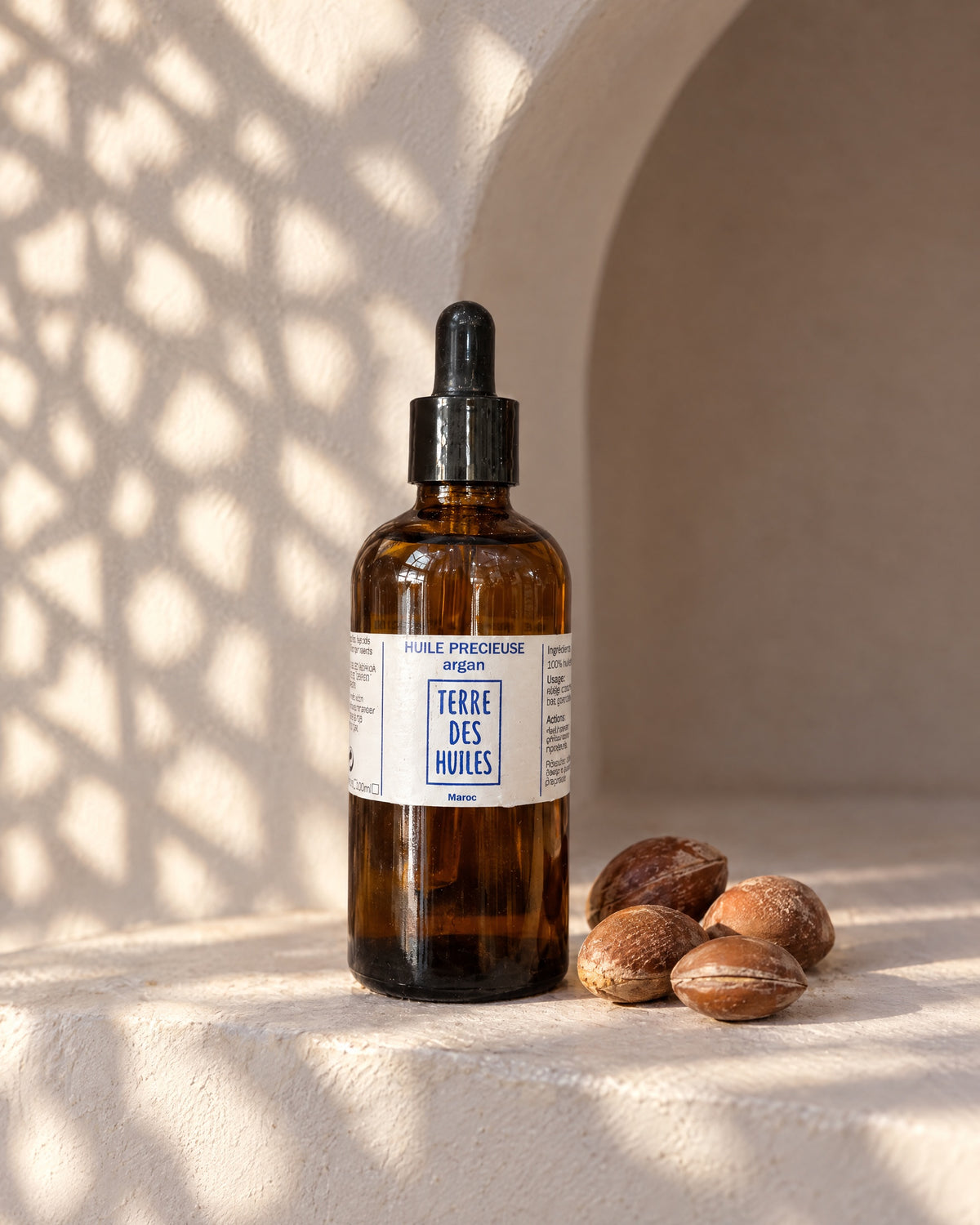 Huile d'argan du Maroc avec noix d'argan, lumière de moucharabieh