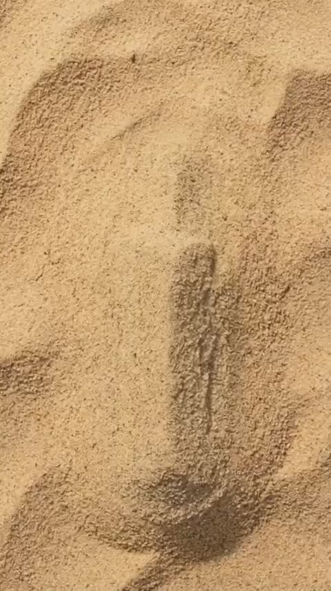 Huile précieuse spray solaire Terre Des Huiles émergeant du sable doré — rituel solaire naturel inspiré du Maroc